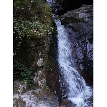 Heimatglueck Schwarzwald Villa Lautenbach Exteriör bild