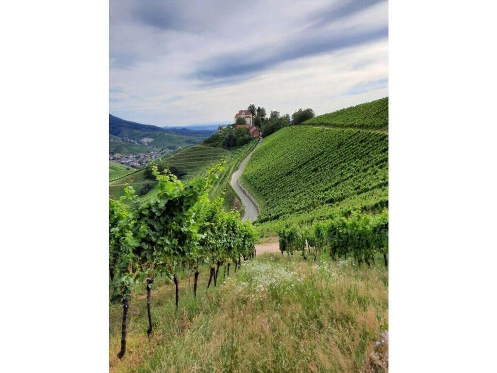 Heimatglueck Schwarzwald Villa Lautenbach Exteriör bild