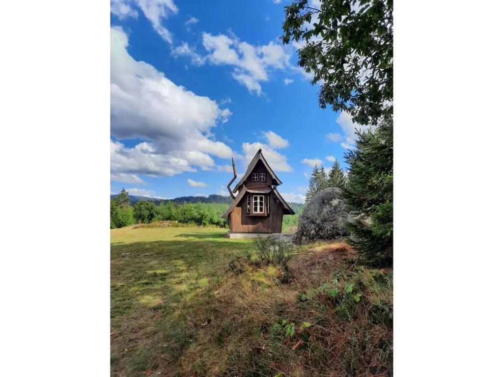 Heimatglueck Schwarzwald Villa Lautenbach Exteriör bild